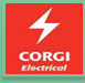 corgi electric Barking